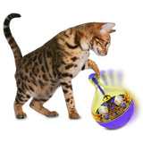 Cat Food Feeders Ball