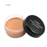 Hide Blemish Makeup Concealer