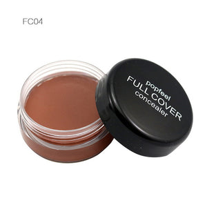 Hide Blemish Makeup Concealer